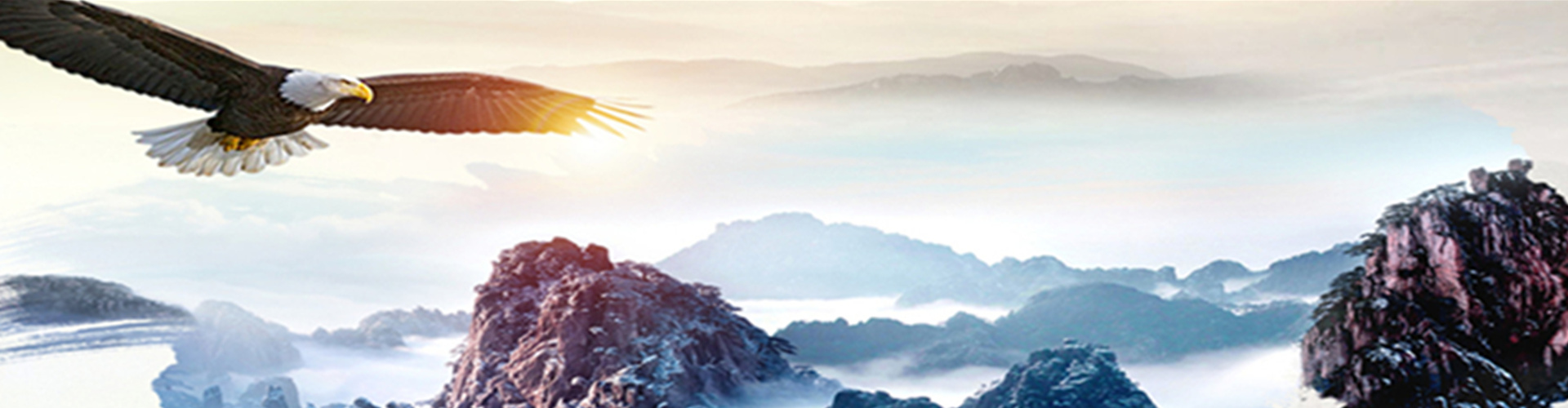 uasb厭氧三相分離器 uasb厭氧三相分離器